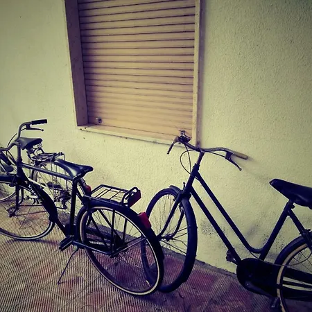 Ortensia * Soverato Marina