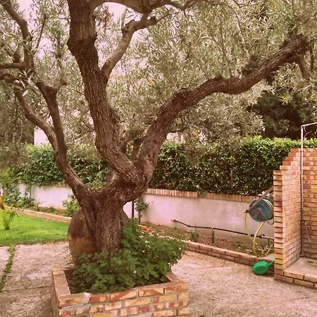 Ortensia * Soverato Marina