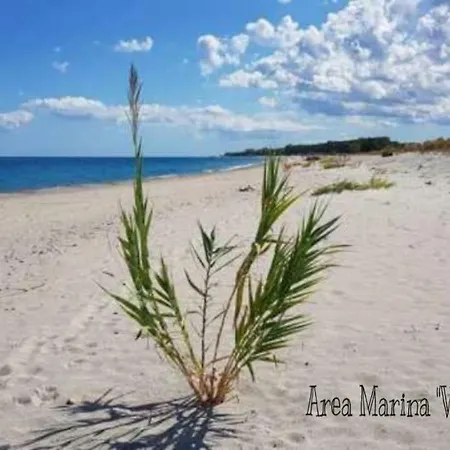 Ortensia * Soverato Marina